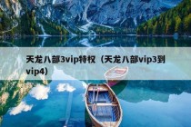 天龙八部3vip特权（天龙八部vip3到vip4）