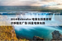 2024年elevator电梯女孩像素桃子移植无广告:抖音电梯女孩