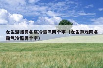 女生游戏网名高冷霸气两个字（女生游戏网名霸气冷酷两个字）