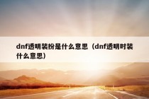 dnf透明装扮是什么意思（dnf透明时装什么意思）