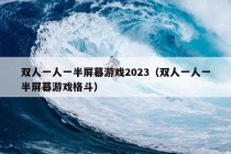 双人一人一半屏幕游戏2023（双人一人一半屏幕游戏格斗）