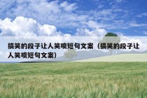 搞笑的段子让人笑喷短句文案（搞笑的段子让人笑喷短句文案）