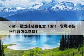 dnf一觉燃魂装扮礼盒（dnf一觉燃魂装扮礼盒怎么选择）