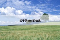 关于伪vmi的信息