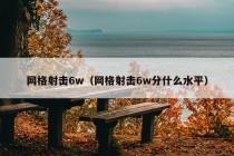 网格射击6w（网格射击6w分什么水平）