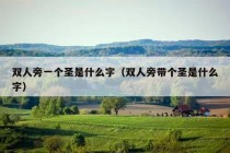 双人旁一个圣是什么字（双人旁带个圣是什么字）