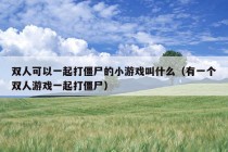 双人可以一起打僵尸的小游戏叫什么（有一个双人游戏一起打僵尸）