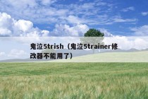 鬼泣5trish（鬼泣5trainer修改器不能用了）