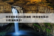 林肯冒险家2022款油耗（林肯冒险家2022款油耗多少）