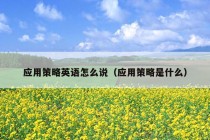 应用策略英语怎么说（应用策略是什么）