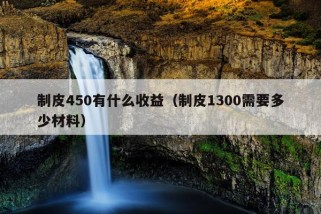 制皮450有什么收益（制皮1300需要多少材料）