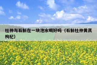 杜仲与石斛在一块泡水喝好吗（石斛杜仲黄芪枸杞）