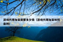 游戏代理加盟需要多少钱（游戏代理加盟如何盈利）