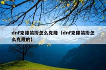 dnf克隆装扮怎么克隆（dnf克隆装扮怎么克隆的）