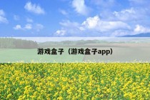 游戏盒子（游戏盒子app）