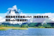 搜狐体育手机搜狐cctv5（搜狐体育手机搜狐cctv5直播回放）