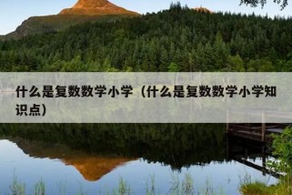 什么是复数数学小学（什么是复数数学小学知识点）