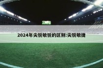 2024年尖锐敏锐的区别:尖锐敏捷