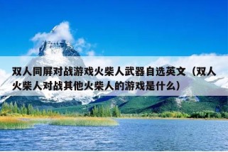 双人同屏对战游戏火柴人武器自选英文（双人火柴人对战其他火柴人的游戏是什么）