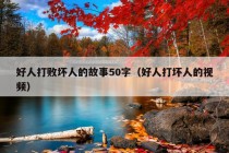 好人打败坏人的故事50字（好人打坏人的视频）