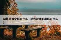 动作游戏全称叫什么（动作游戏的简称叫什么）