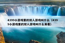 4399小游戏里的双人游戏叫什么（4399小游戏里的双人游戏叫什么来着）