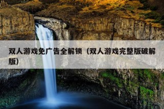 双人游戏免广告全解锁（双人游戏完整版破解版）