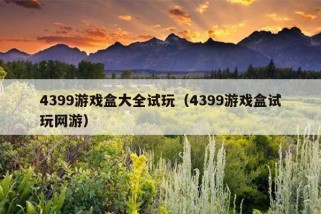 4399游戏盒大全试玩（4399游戏盒试玩网游）