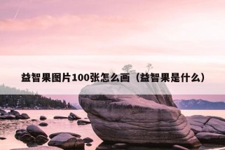 益智果图片100张怎么画（益智果是什么）