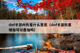 dnf手游内伤是什么意思（dnf手游伤害增加可以叠加吗）