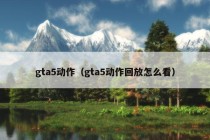 gta5动作（gta5动作回放怎么看）