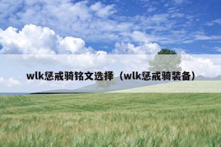 wlk惩戒骑铭文选择（wlk惩戒骑装备）