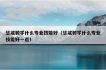 惩戒骑学什么专业技能好（惩戒骑学什么专业技能好一点）