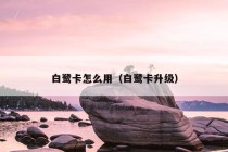 白鹭卡怎么用（白鹭卡升级）