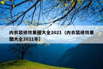 内衣装修效果图大全2021（内衣装修效果图大全2021年）