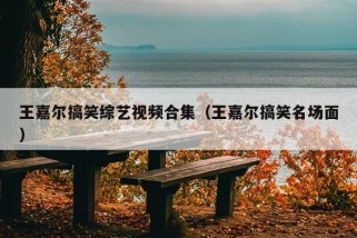 王嘉尔搞笑综艺视频合集（王嘉尔搞笑名场面）