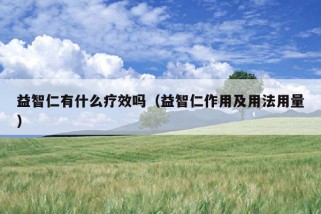 益智仁有什么疗效吗（益智仁作用及用法用量）