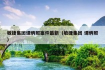 敏捷集团谭炳照案件最新（敏捷集团 谭炳照）