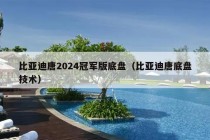 比亚迪唐2024冠军版底盘（比亚迪唐底盘技术）