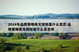 2024年品牌策略英文简称是什么意思:品牌策略英文简称是什么意思啊