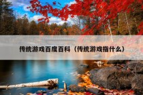 传统游戏百度百科（传统游戏指什么）