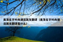 美发名字时尚潮流英文翻译（美发名字时尚潮流英文翻译是什么）