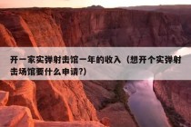 开一家实弹射击馆一年的收入（想开个实弹射击场馆要什么申请?）