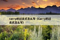 carry的过去式怎么写（Carry的过去式怎么写）