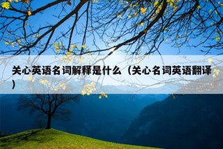 关心英语名词解释是什么（关心名词英语翻译）