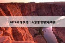 2024年惊弦是什么意思:惊弦连续剧