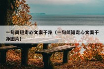 一句简短走心文案干净（一句简短走心文案干净图片）