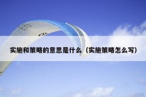 实施和策略的意思是什么（实施策略怎么写）