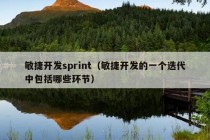 敏捷开发sprint（敏捷开发的一个迭代中包括哪些环节）