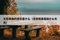 文思敏捷的意思是什么（文思敏捷是指什么生肖）